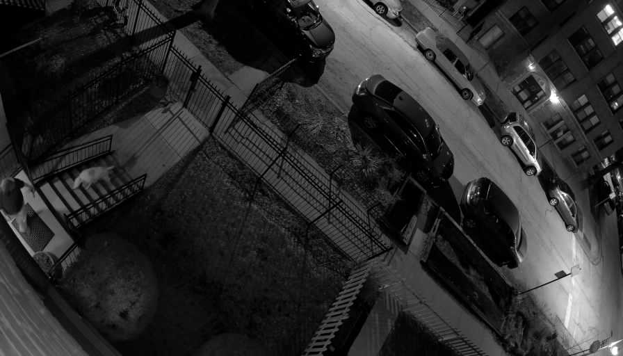 Reolink Camera Two_01_Reolink Home Hub One_20260320220142.jpg